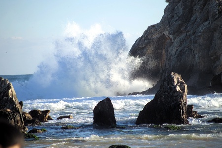 Nature sceneの写真素材