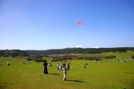 A crowd of people at a fieldのeditorial素材