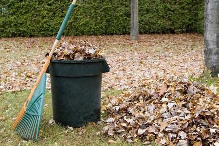 Autumn leaves in a garbage can - Horizontal の写真素材