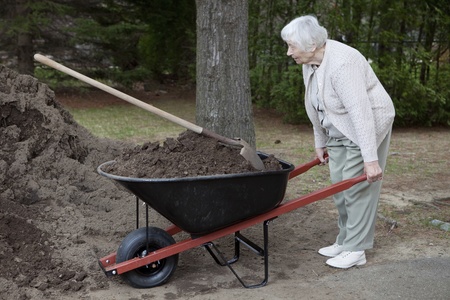 Senior woman carrying dirt in a wheelbarrow の写真素材