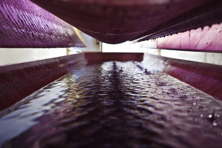 Inside a wine press free run juice from crushed red grapes の写真素材