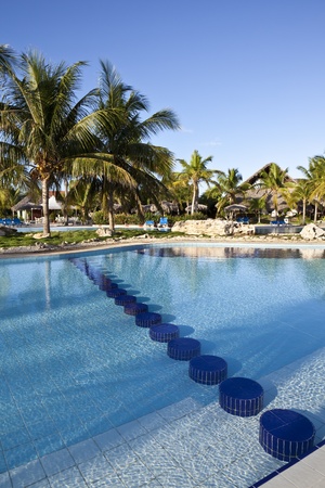 Luxury Resort Hotel Swimming Pool with Palm Trees の写真素材