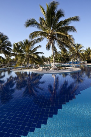 Luxury Resort Hotel Swimming Pool with Palm Trees の写真素材