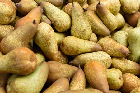 Group of fresh pears