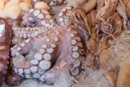 Octopus with ice on the marketの写真素材