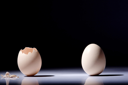Whole egg beside a broken egg