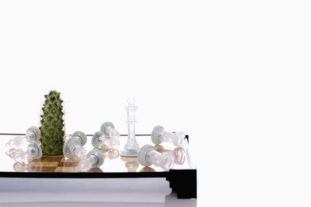 Cactus and king chess piece standing while the rest of the chess pieces scattered on the boardの写真素材