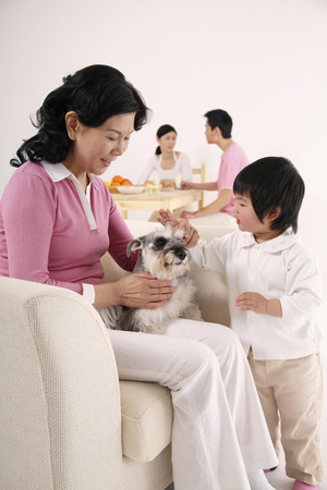 Senior woman with dog on her lap, girl playing with the dogの写真素材