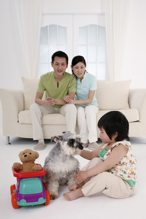 Girl playing with dog, parents watchingの写真素材