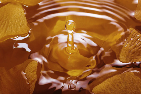 A drop of water falling into the waterの写真素材