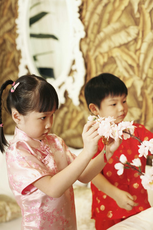 Boy and girl decorating flowers at homeの写真素材