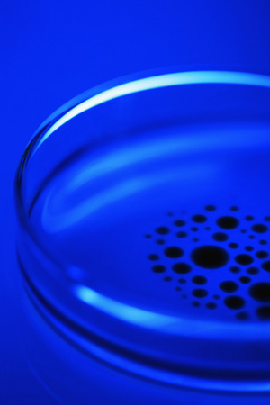 Sample on Petri dish
