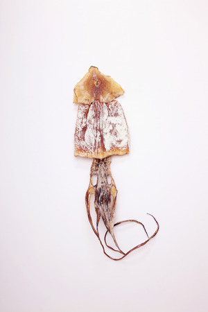 Dried cuttlefish