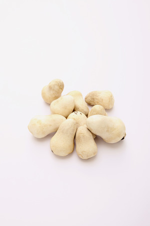 Mushroomsの写真素材