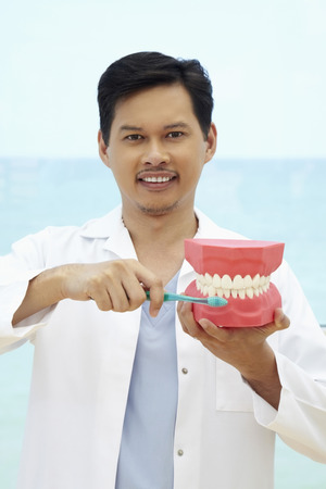 Dentist showing the correct way to brush teethの写真素材