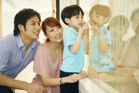 Boy pointing at the display windowの写真素材