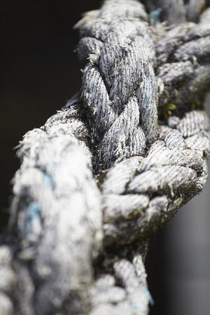 Close-up picture of twisted ropesの写真素材