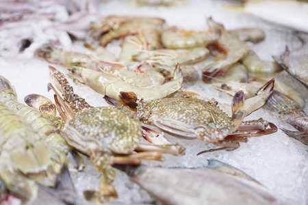 Fresh and raw seafoodの写真素材