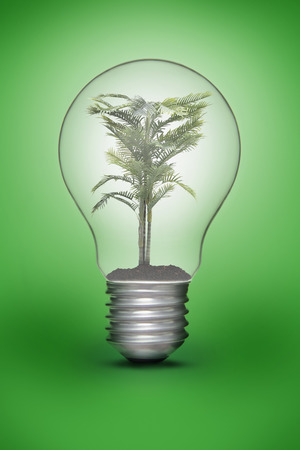 Green plant in a light bulbの写真素材