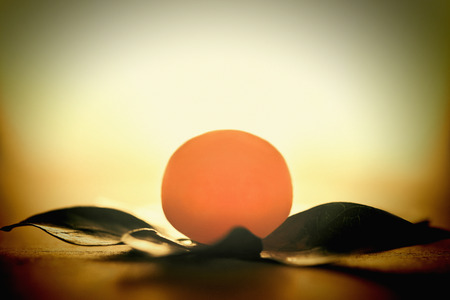 Close up image on egg yolkの写真素材