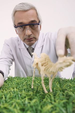 Scientist examining wooden dinosaur modelの写真素材