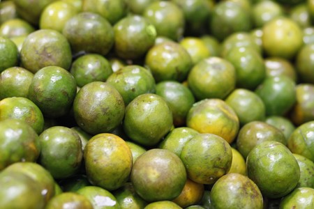 Limes