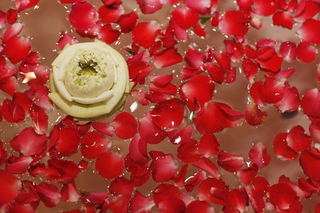 Flower and rose petals in waterの写真素材