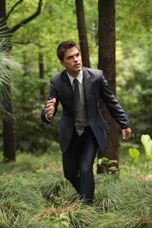 Businessman in the forestの写真素材