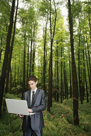 Businessman using laptop in the forestの写真素材