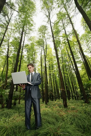 Businessman using laptop in the forestの写真素材