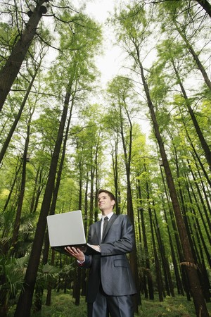 Businessman using laptop in the forestの写真素材