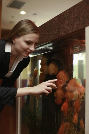 Businesswoman looking at fishes in fish tankの写真素材