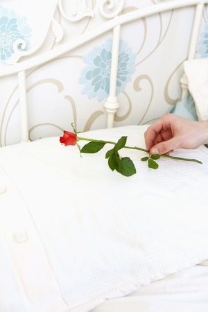 Hand putting a rose on the pillowの写真素材
