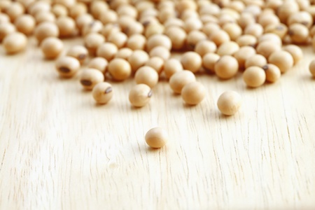 Soybeansの写真素材