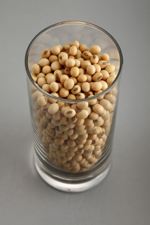 Soybeans in drinking glassの写真素材