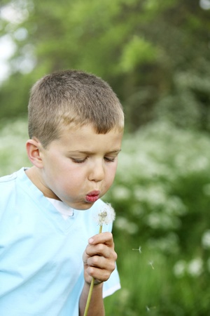 Boy playing with dandelionの写真素材