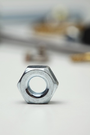 Close-up of nut