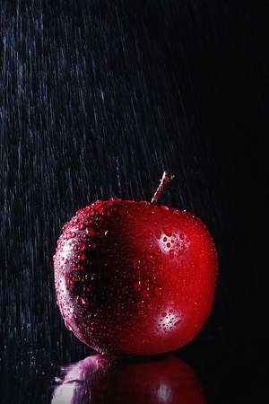  Apple with water dropletsの写真素材