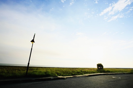 Road through fieldの写真素材