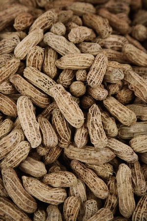 Peanutsの写真素材