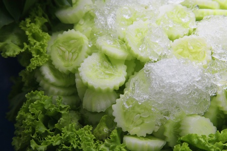Salad leaf and cucumber with iceの写真素材