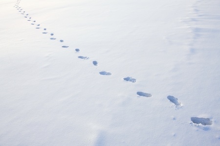 Trail of footprints in snowの写真素材