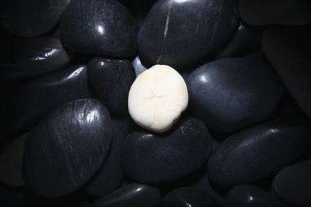 Single white pebble amidst black pebblesの写真素材