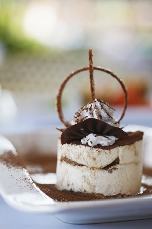 Tiramisu dessertの写真素材