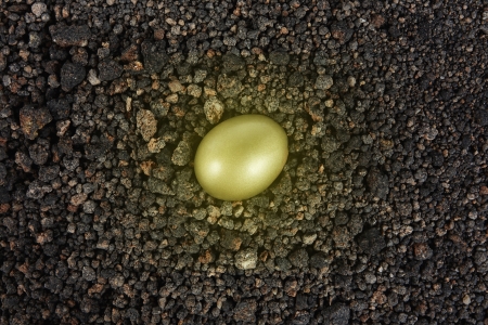 Golden egg laying on soilの写真素材
