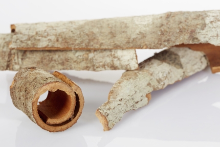 Traditional Chinese herb Huo Po