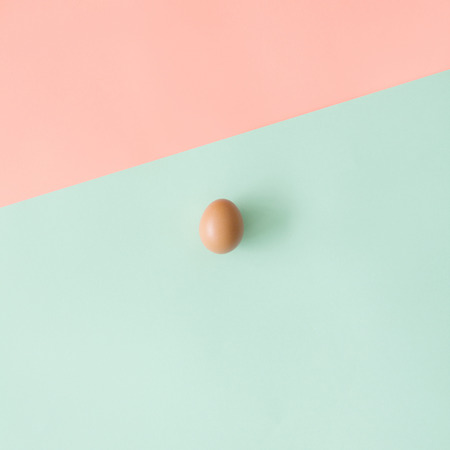 An egg on pastel backgroundの写真素材