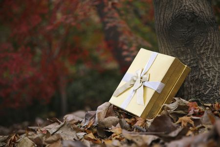 Christmas presentの写真素材