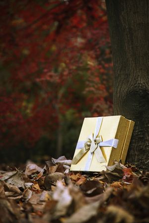 Christmas presentの写真素材