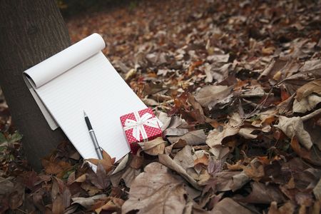 Gift box with notepad and penの写真素材
